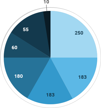  Standard Pie Chart